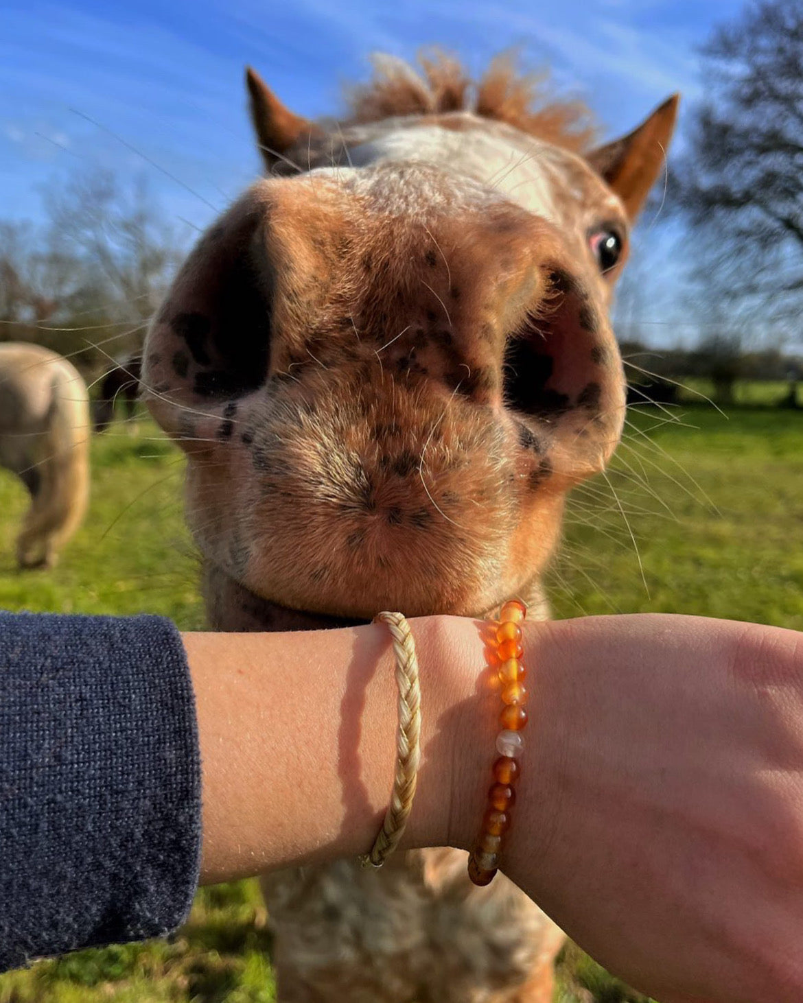 « L’originel » bracelet en crins de cheval