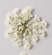 Décorations
