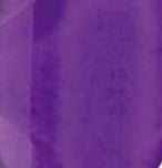 Couleur du fond
