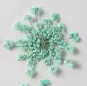 Décorations