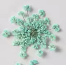 Décorations
