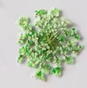 Décorations