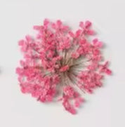 Décorations